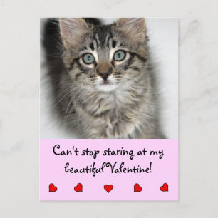 Festiva Mirando la postal de San Valentín Kitten