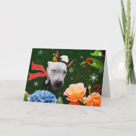 Festiva Mitzy la Mariposa, tarjeta de felicitación de feri