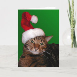 Festiva Mooki Santa - tarjeta en blanco