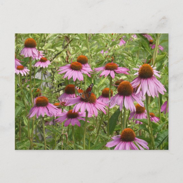 Festiva Morado de las flores con la postal Butterfly DIY (Anverso)