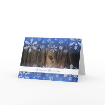 Mustango negro - tarjeta del día de fiesta 5x7