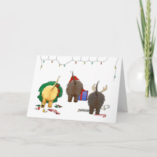 Festiva Nada Más Que Una Tarjeta De Navidades De Cairn