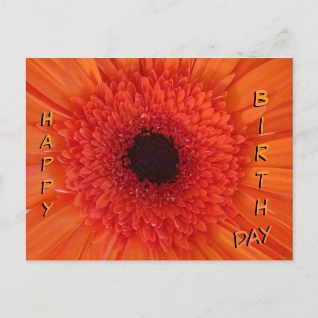 Festiva Naranja Gerbera cierra postal feliz cumpleaños (Anverso)