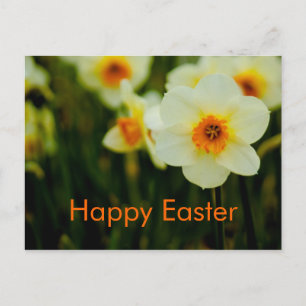 Festiva Narcisos  • Postal de Pascua