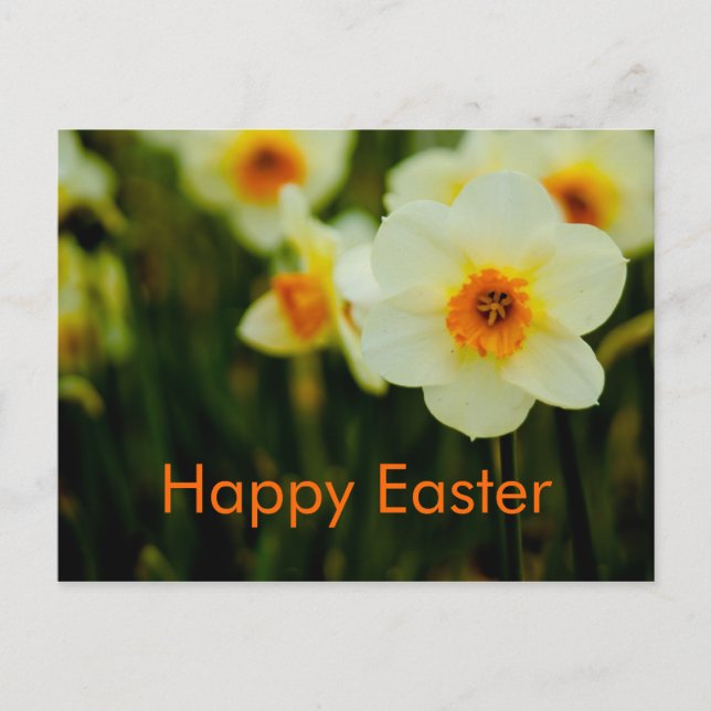 Festiva Narcisos  • Postal de Pascua (Anverso)