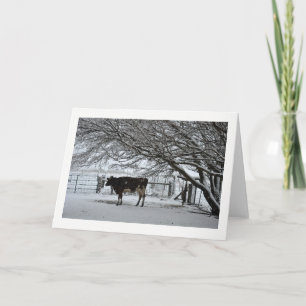 Festiva Navidad. Tarjeta mediana. Vaca en Nieve.