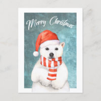 Navidades acuáticos Postal de oso polar