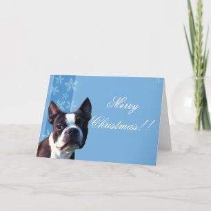 Festiva Navidades Boston terrier tarjeta de saludo