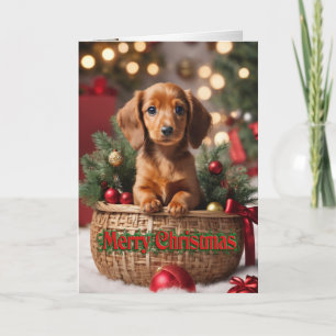 Festiva Navidades cachorro con tarjeta de vacaciones Doxie