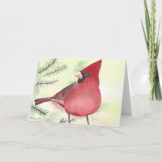 Festiva Navidades Cardenal en pinos tarjeta de saludo