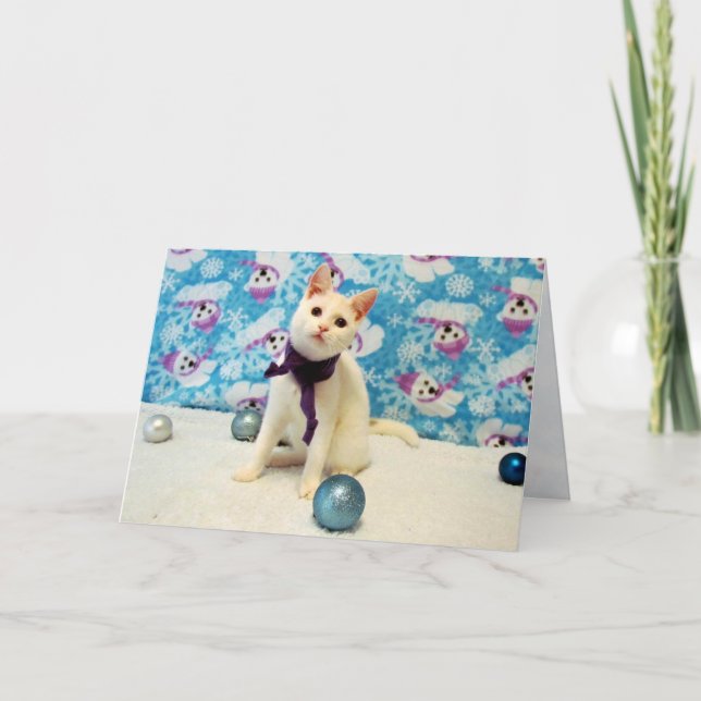 Festiva Navidades de Audrey - Tarjeta de vacaciones Cat /  (Anverso)