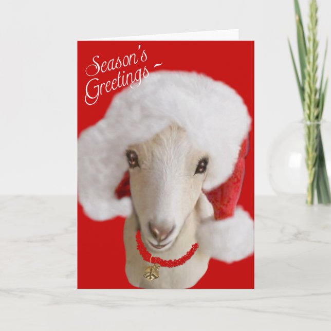 Festiva Navidades de cabra Tarjeta LaMancha Goat (Anverso)