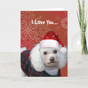 Festiva Navidades de I Love You tarjeta de saludo de cangr