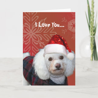 Festiva Navidades de I Love You tarjeta de saludo de cangr