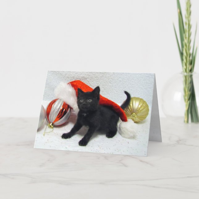 Festiva Navidades de Joon- Cat / Kitten - Tarjeta doblada (Anverso)
