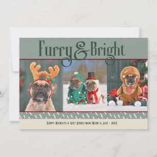 Festiva Navidades de Perro Luminoso Foto Tarjeta de vacaci