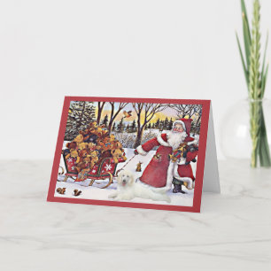 Festiva Navidades De Poodle Tarjeta Santa Bears En Sleigh