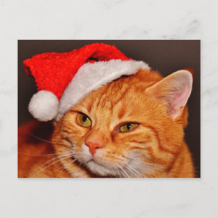Festiva Navidades de postal