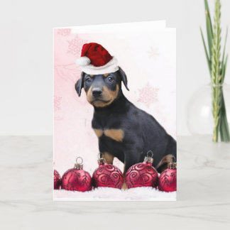 Festiva Navidades Doberman tarjeta de saludo de cachorro