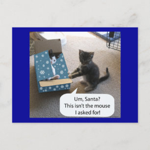 Festiva Navidades gatitos sorprenden postal