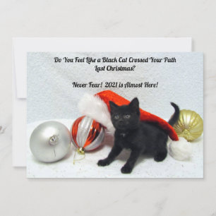 Festiva Navidades gatos negros - Humor - Tarjeta de Navida