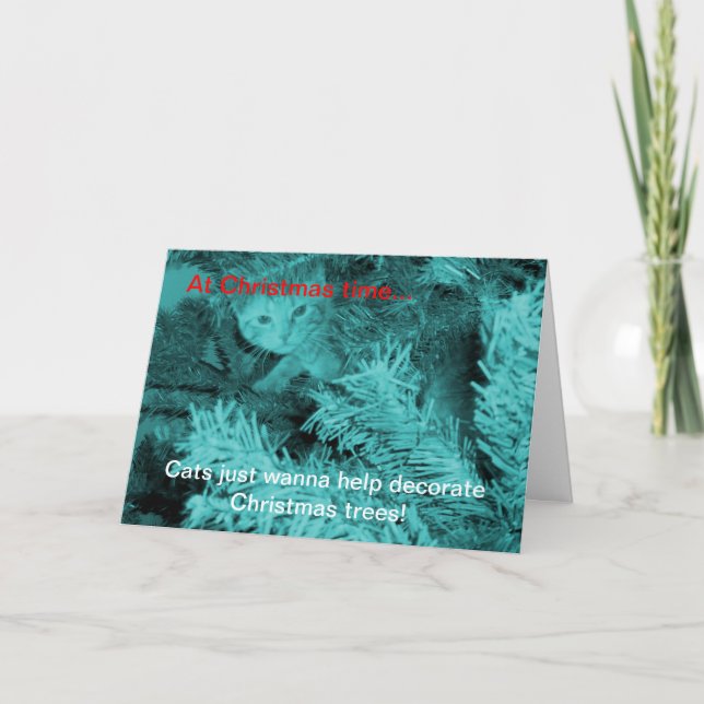 Festiva Navidades Gatos Sólo Quieren Tarjeta De Saludo (Anverso)
