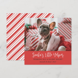 Festiva Navidades graciosos adoran foto Mascota tarjeta de