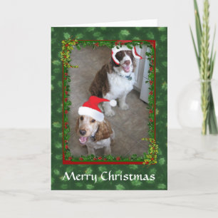 Festiva Navidades Mascotas españoles Tarjeta de ayuda de S