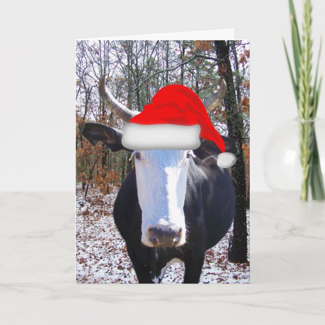 Festiva Navidades moros de la tarjeta de vaca Funny Heifer (Anverso)