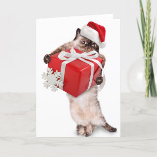 Festiva Navidades plegados Tarjeta SANTA CAT con REGALO