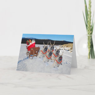 Festiva Navidades pug perros sacando una tarjeta de vacaci