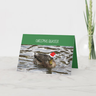 Festiva Navidades Quacker Ducks En Una Tarjeta De Fila