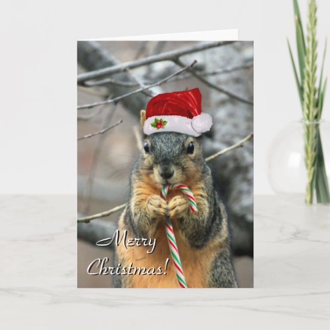 Festiva Navidades Tarjeta de saludo Squirrel (Anverso)