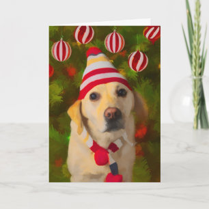 Festiva Navidades Tarjeta Labrador, perro en contacto gorr