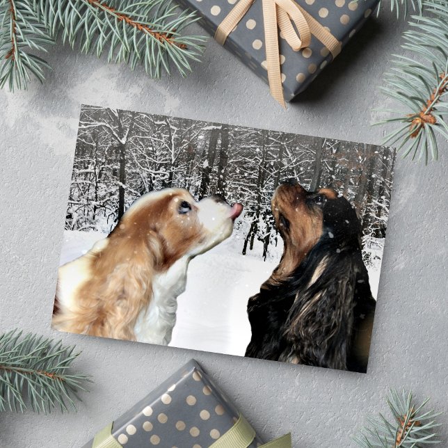 Festiva Nevando Sobre La Tarjeta Cavalier King Charles Spa (Catching snowflakes Cavaliers for a Christmas greeting. )