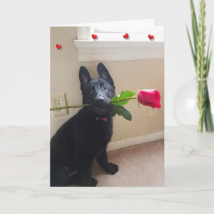 Festiva No te gusta la tarjeta de San Valentín Red Rose