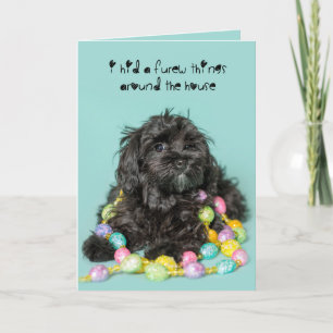 Festiva Ocultó la tarjeta de pascua del perro de perrito