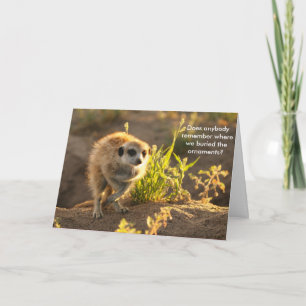 Festiva Ornamentos de Ewoks - tarjeta de felicitaciones de