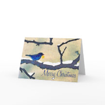 Pájaro azul con tarjeta de Navidades estrella