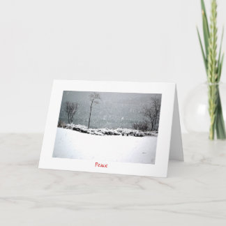 Festiva Parque Hartley Mason - Tarjeta de vacaciones - Paz