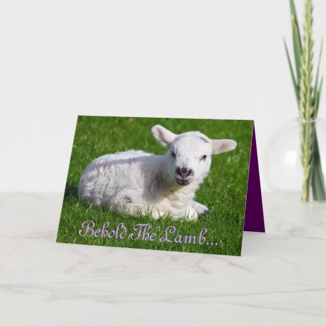 Festiva Pascua mire la tarjeta de vacaciones de cordero (Anverso)
