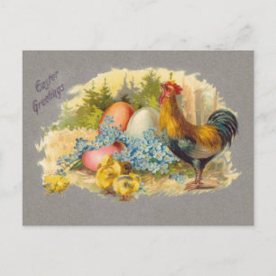 Festiva Pascua - polluelos, huevos y gallo - postal
