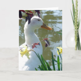 Festiva Pato Blanco En Daffodils Feliz Tarjeta De Pascua