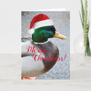 Festiva Pato Mallard con tarjeta de vacaciones Red Santa H