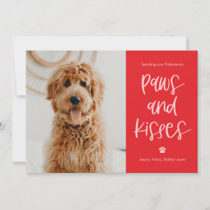Festiva Paws besa Mascotas de color editables tarjeta de S