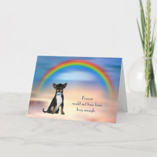 Festiva Pérdida de tarjeta de solidaridad con el arco iris