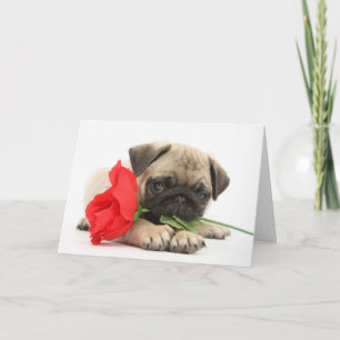 Festiva Perrito lindo del barro amasado con la tarjeta del