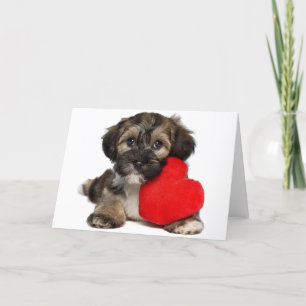 Festiva Perro de perrito de Havanese de la tarjeta del día