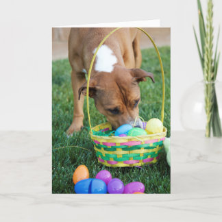 Festiva Perro en la tarjeta de pascua de la cesta