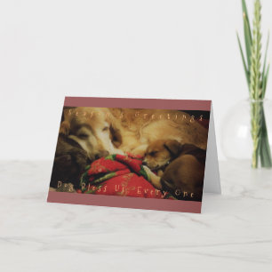Festiva "Perro nos bendice a todos" Tarjeta de felicitació